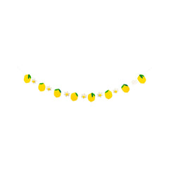 My Mind’s Eye - LEM1102 - Felt Lemon Banner - Pretty Day