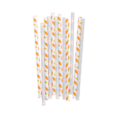 My Mind’s Eye - PLSS325 - Bunny/Carrot Reusable Straws - Pretty Day