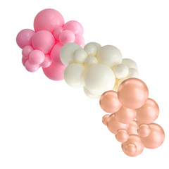 Miss to Mrs Balloon Garland Arch Kit - Pretty Day