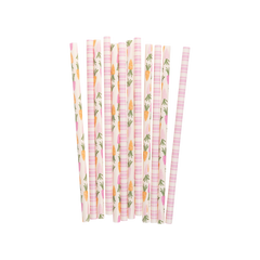My Mind’s Eye - PLSS327 - Carrots and Stripes Reusable Straws - Pretty Day