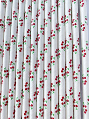 Cherry Print Paper Straws- 25pk - Pretty Day