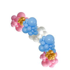 Gender Reveal DIY Balloon Garland Kit - Pretty Day