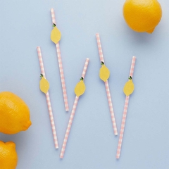 Hootyballoo by Club Green - Lemon & Gingham Paper Straws 20 Pack - Pretty Day