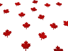 Canada Day Maple Leaf Confetti- 50pc - Pretty Day