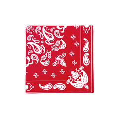 Red Bandana Cocktail Napkins-20pk. JN23 S7147 - Pretty Day