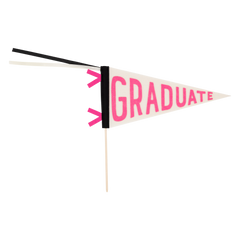My Mind’s Eye - PLHB145 - Pink Graduate Felt Pennant Banner - Pretty Day