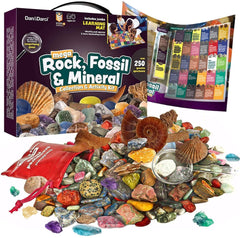 Mega Rock, Fossil & Mineral Collection - Pretty Day