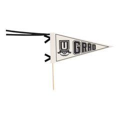 My Mind’s Eye - GRD1015 - Grad Felt Pennant Banner - Pretty Day