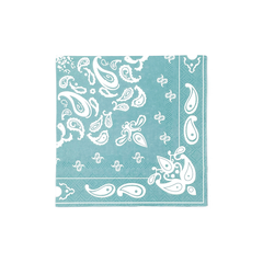 Dusty Turquoise Bandana Cocktail Napkins-20pk. JN23 S2205 - Pretty Day