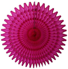 Hot Pink Tissue Paper Fans - Pretty Day