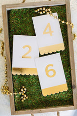 Fancy Table Numbers 24pk S3095 - Pretty Day