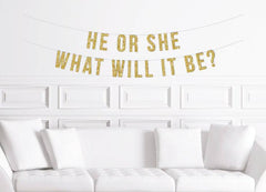 He or She What Will It Be? Gender Reveal Banner - Pretty Day