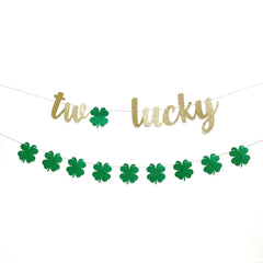 St Patricks Day 2nd Birthday Decor Two Lucky Garland Banner - Pretty Day