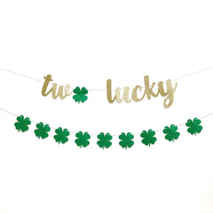 St Patricks Day 2nd Birthday Decor Two Lucky Garland Banner - Pretty Day