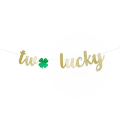 Two Lucky Garland Banner, St Patricks Day 2nd Birthday Decor - Pretty Day