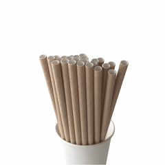 Kraft Tan Eco Friendly Paper Straws S8105 - Pretty Day