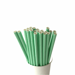 Mint Green Paper Straws S3083 - Pretty Day
