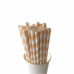Peach Striped Eco Friendly Paper Straws S7087 - Pretty Day