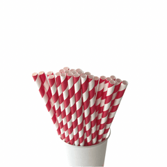 Red Striped Eco Friendly Paper Straws S2092 - Pretty Day