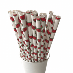 Watermelon Eco Friendly Paper Straws S8065 - Pretty Day