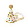 Mini Dog Birthday Party Hat s2118 - Pretty Day