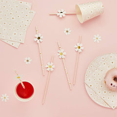 Hootyballoo by Club Green - Daisy Paper Straws 16 Pack - Pretty Day