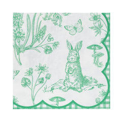 Pierre Rabbit Easter Paper Napkins 20pk. - Pretty Day