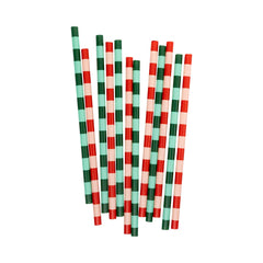 Christmas Reusable Straws 12 Pk - Pretty Day