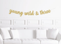 Young Wild and Three Banner, Young Wild and 3, Boy Birthday Party, Third Birthday, Three Year Old Boy's - Pretty Day