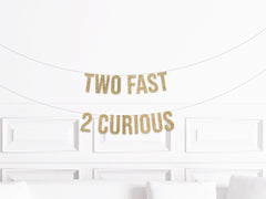 Two Fast 2 Curious Banner, Car Themed 2nd Birthday Decorations - Pretty Day