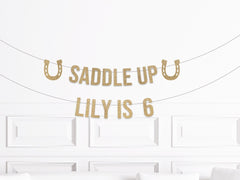 Horse Birthday Decorations, Wild Horse Theme Birthday, Rodeo Party Decor, Bunting Banner Garland, Girl Boy, 1st 2nd 3rd 4th 5th 6th 7th - Pretty Day