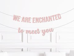 We are Enchanted to Meet You Banner, Enchanted to Meet You Themed Baby Shower Party Decorations Decor Supplies - Pretty Day