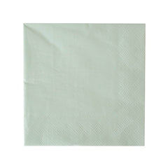 Shades Collection Pistachio Large Napkins - 16 Pk. - Pretty Day