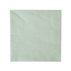 Shades Collection Pistachio Large Napkins - 16 Pk. - Pretty Day
