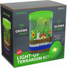 Light-Up Terrarium Kit - Pretty Day