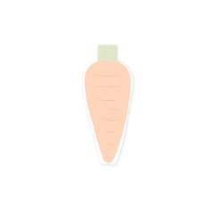 Easter Carrot Shaped Napkin -Occasions By Shakira - Pretty Day