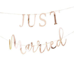 Just Married Paper Garland Banner S5052 - Pretty Day