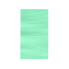 Mint Paper Party Napkins- Large 20pk S4172 - Pretty Day