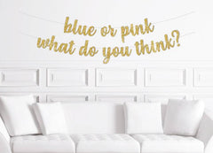 Blue or Pink What Do You Think? Cursive Banner - Pretty Day