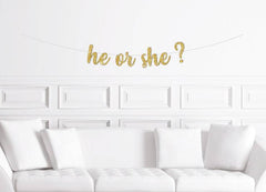 He or She?  Cursive  Gender Reveal Banner - Pretty Day