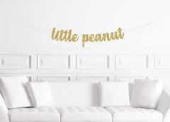 Little Peanut Baby Shower Banner - Pretty Day