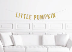 Little Pumpkin Fall Baby Shower Banner - Pretty Day