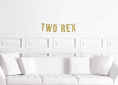 Two Rex Dinosaur Second Birthday Party Banner - Pretty Day