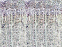 Holographic Metallic Fringe Curtain Backdrop S7045 S7046 S7047 - Pretty Day