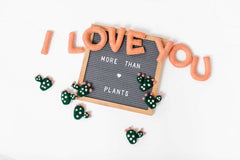 I LOVE YOU - Wool Reusable Garland S1092 - Pretty Day