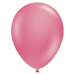 5" Pixie Latex Balloon CM18 - Pretty Day